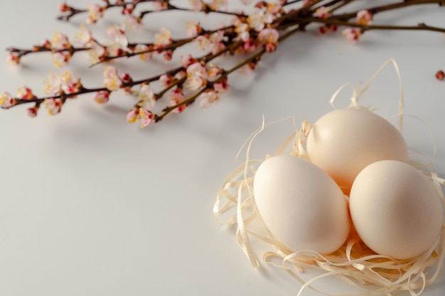 Easter spring decorative composition  with easter eggs pink cherry branch.