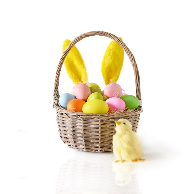 Easter wicker basket with pastel colorful eggs with yellow chick decorated rabbit ears isolated on