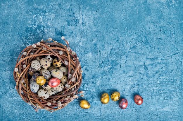 Easter willow nest and colorful Easter quail eggs on blue background. Top view, copy space