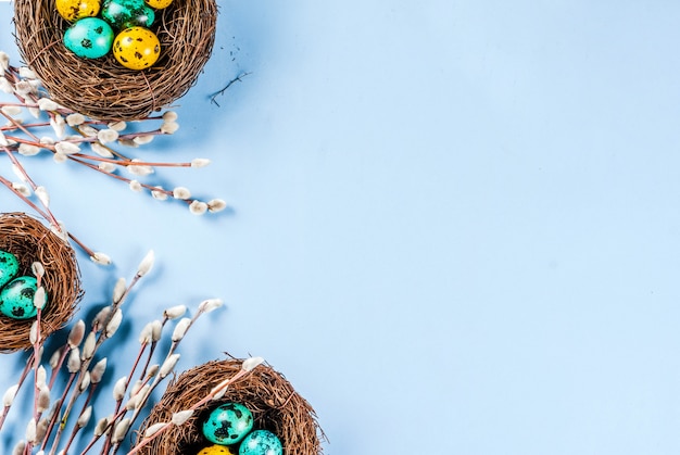 Easter  with bird's nests and eggs