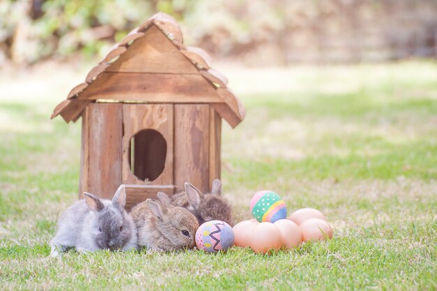 Easter with egg and baby bunny on grass