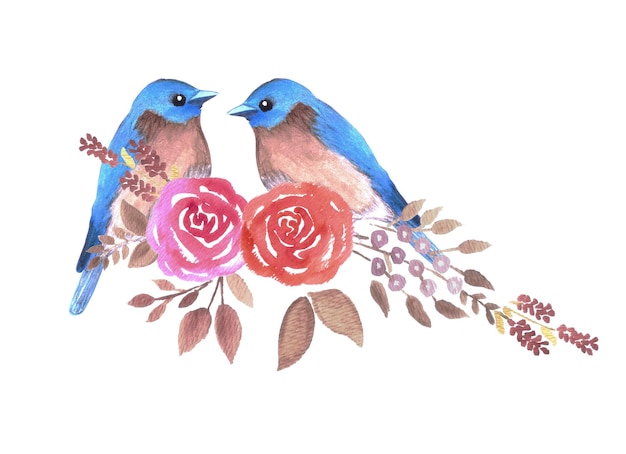 Photo eastern bluebird or sialia sialis couple on red roses watercolor artwork