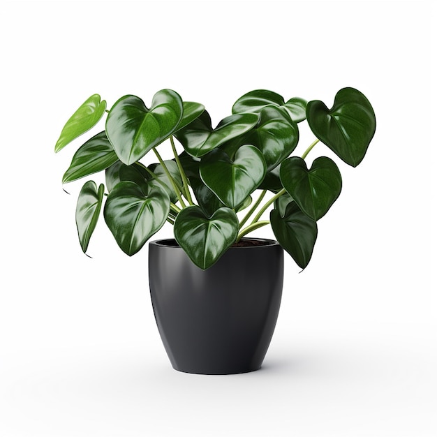 Easy to use Plant Mockup