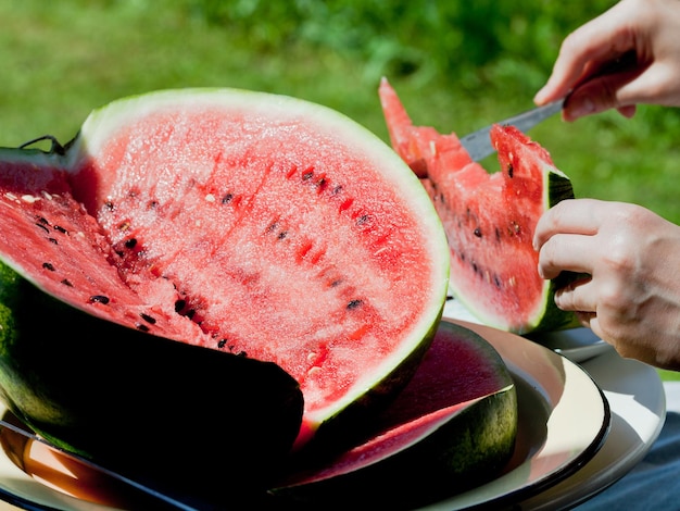 Eating watermelon