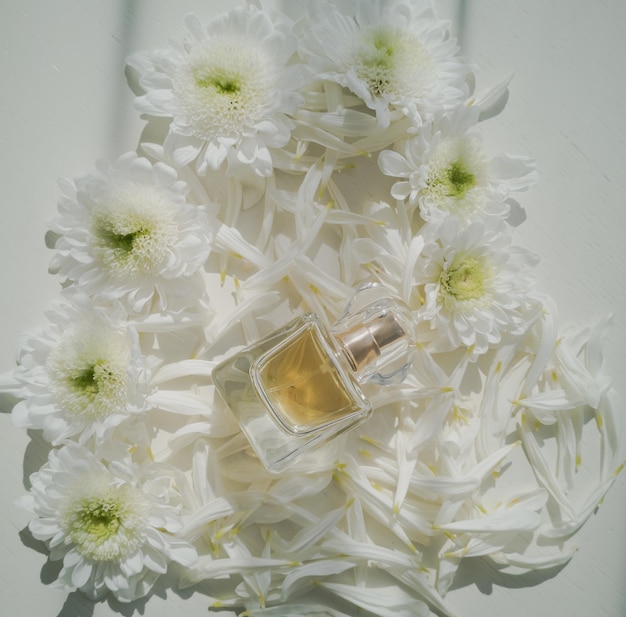 Eau de parfum for women among flowers of white chrysanthemums flat lay