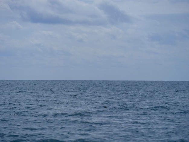 美しい海と空の背景