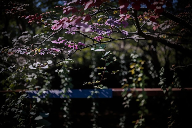 チェリーの花の木の近くにある古い石の階段の ⁇ 麗な垂直ショット