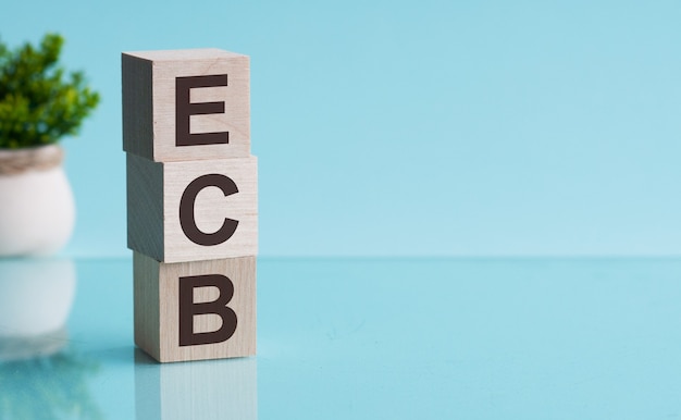 ECB - European central bank - text from wooden cubes on blu background. written text is mirrored from the glossy surface. In the background is a flower in a pot.
