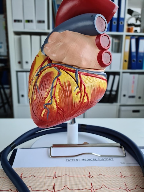 심장 심장 의료 의학 개념이 있는 ECG 차트