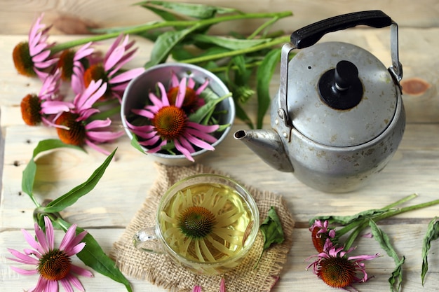 Echinacea bloemen en bladeren.