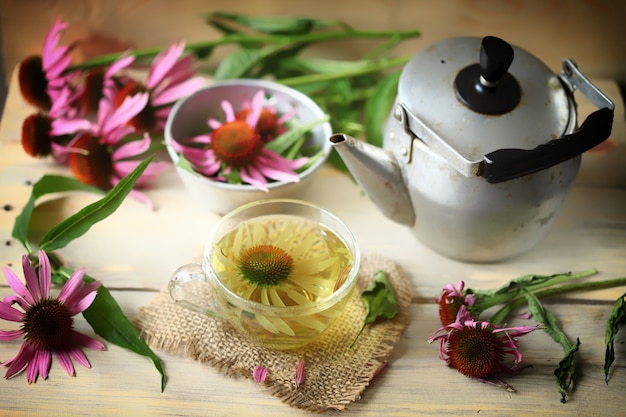 Echinacea flowers teapot a cup of tea