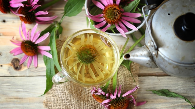 Echinacea flowers teapot cup of tea