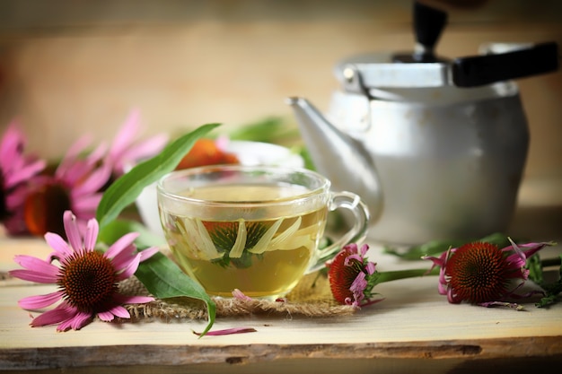 Echinacea tea in a cup Echinacea flowers