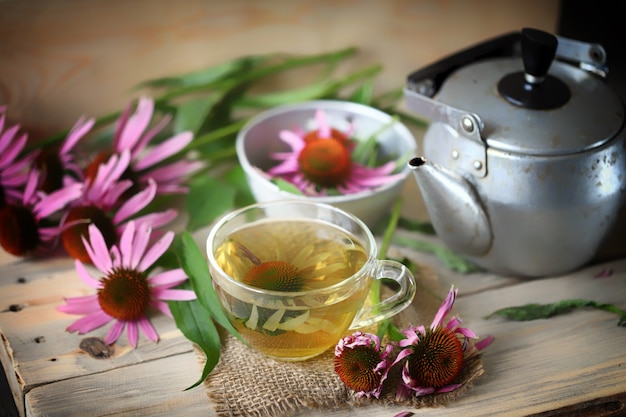 Echinacea thee in een kopje Echinacea bloemen