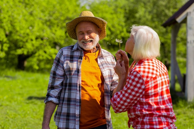 Echtgenoot lachen. Stralende gepensioneerde echtgenoot die lacht terwijl hij met zijn vrouw naar paardenbloem blaast