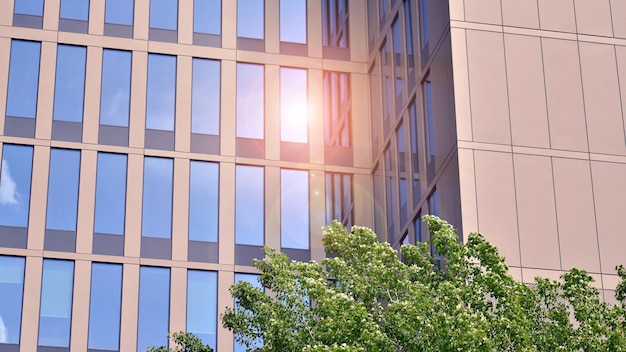 Eco architecture Details of facade glass and aluminum panels on building Green tree