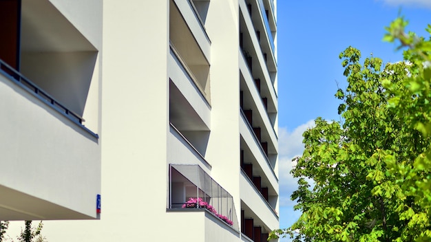 Eco architecture Green tree and apartment building The harmony of nature and modernity