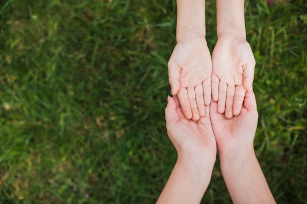 Photo eco concept with two pairs of hands