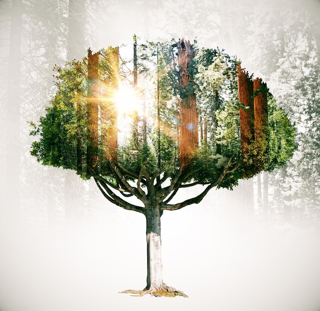 eco concept