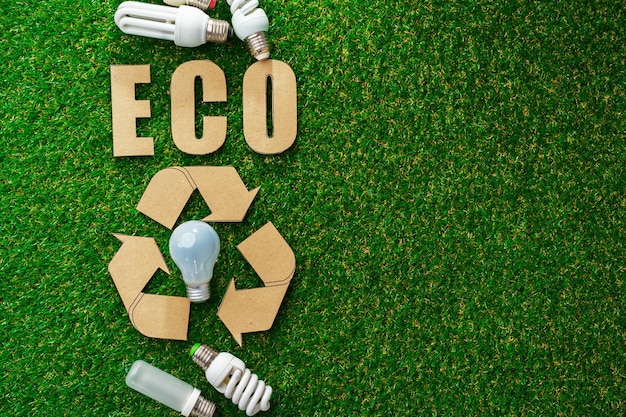 Eco energy saving light bulbs on grass