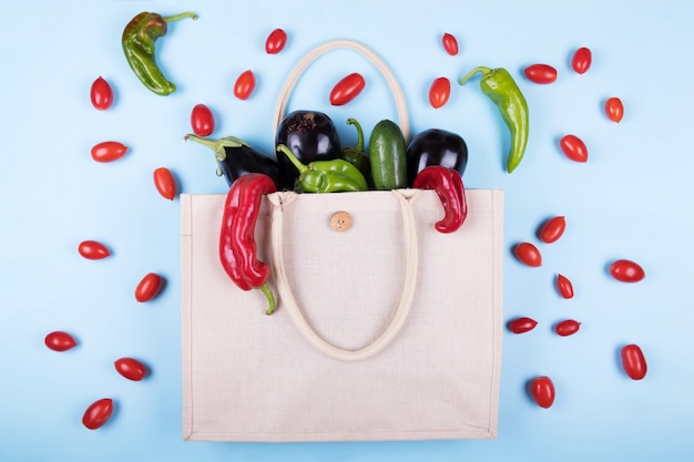 Eco friendly cotton bag with vegetables: eggplant, ugly peppers, tomatoes, zucchini on a pastel blue , minimal nature style