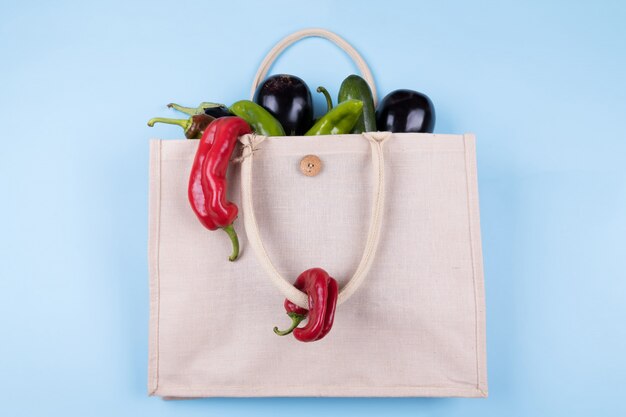 Eco friendly cotton bag with vegetables: eggplant, ugly peppers, tomatoes, zucchini on a pastel blue , minimal nature style