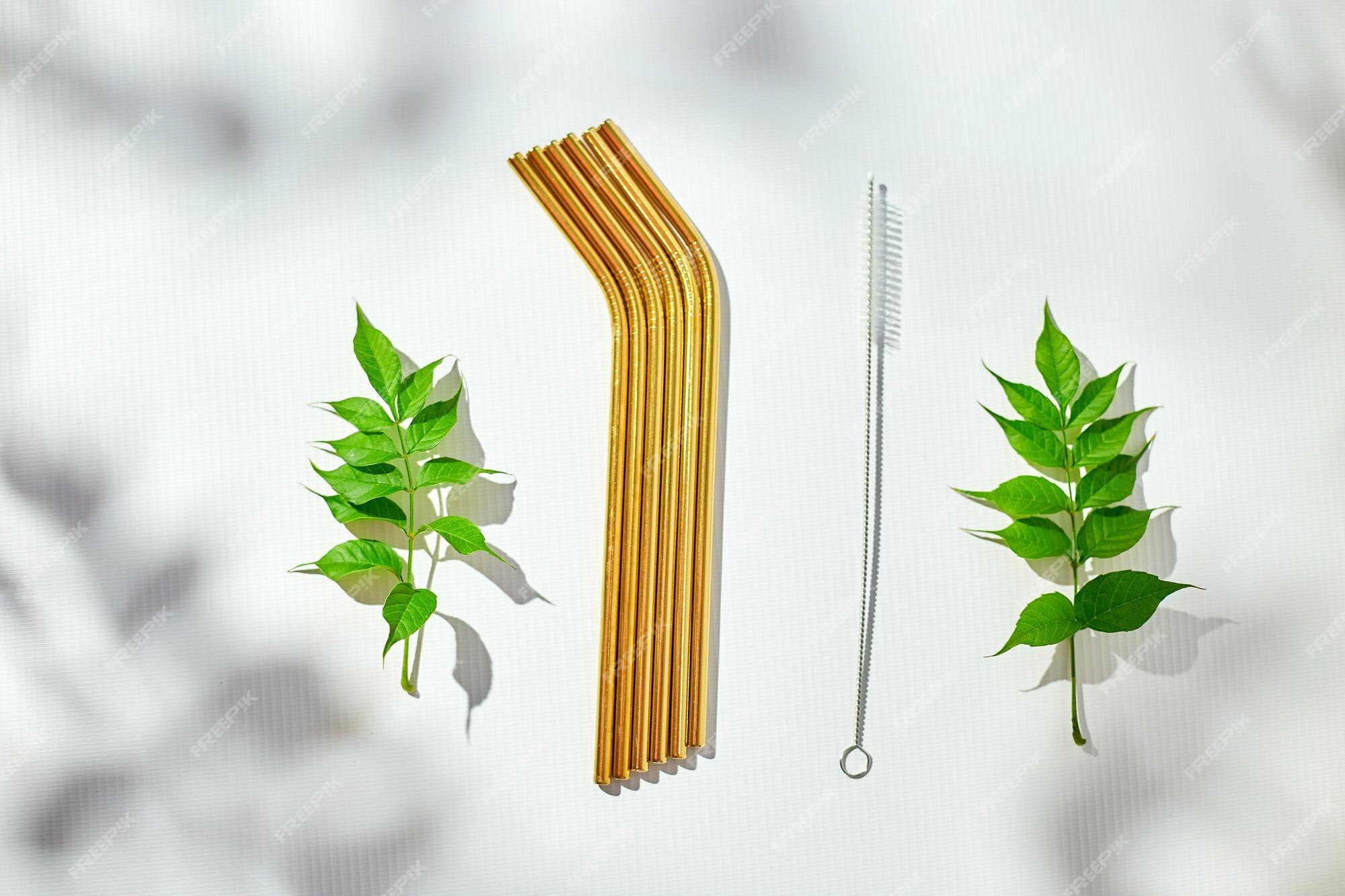 https://img.freepik.com/premium-photo/eco-friendly-reusable-stainless-steel-straws-cleaning-brush-white-background_636638-1150.jpg?w=2000