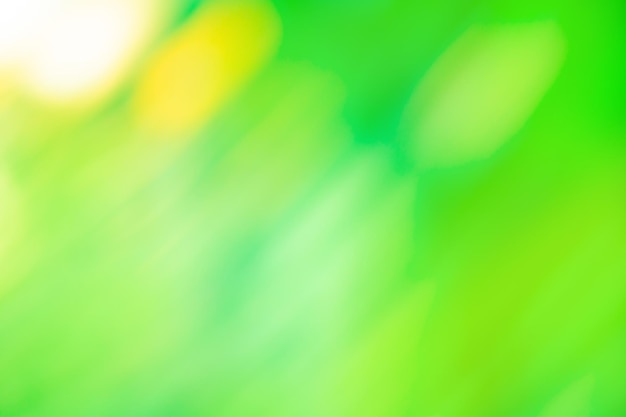 Eco green time blurred bio background Ecology green nature concept