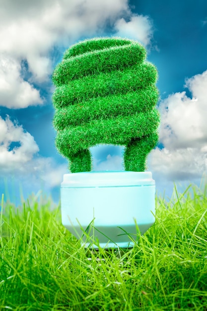 Eco light bulb in green grass on blue sky background