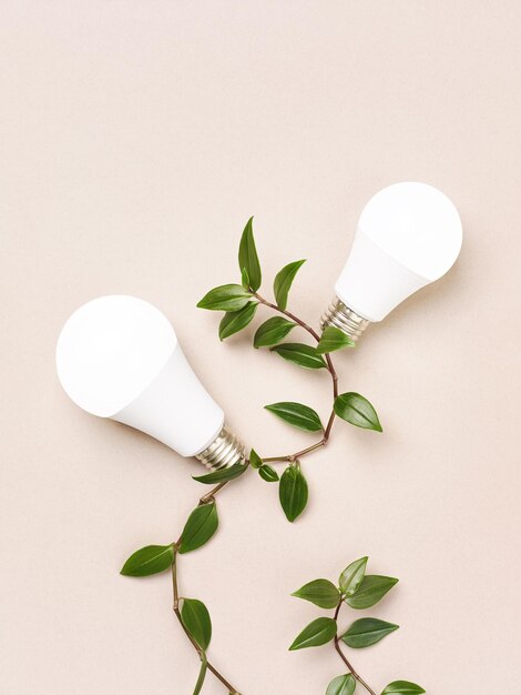 Foto eco lampadine sul cavo di diramazione verde ambiente concetto di energia verde