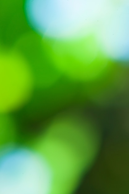 Photo eco nature / green and blue abstract defocused  with sunshine