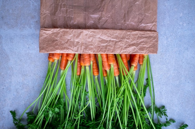 Eco paper bag with fresh carrots with green leaves