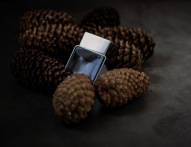 Photo eco perfume men's perfume on the background of cones the concept of ecology