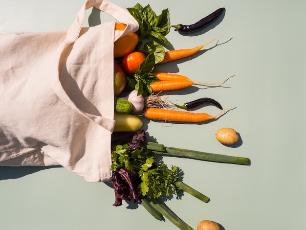 Eco-tas met boodschappen op een gekleurde achtergrond biologisch voedsel dat uit de zak wordt verspreid voor een vegetariër