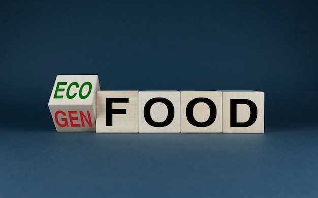 Eco-voedsel of Gen-voedsel Kubussen vormen woorden Eco-voedsel of Gen-voedsel Concept van het kiezen van gevaarlijk of veilig voedsel
