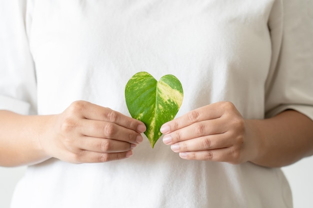 Eco-vriendelijk blad als hart dat door vrouwenhand wordt vastgehouden concept van milieubehoud