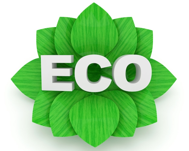 Foto parola di eco e foglie verdi isolati su bianco