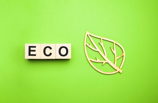 Photo eco word on wooden blocks with wooden leaf on the green background