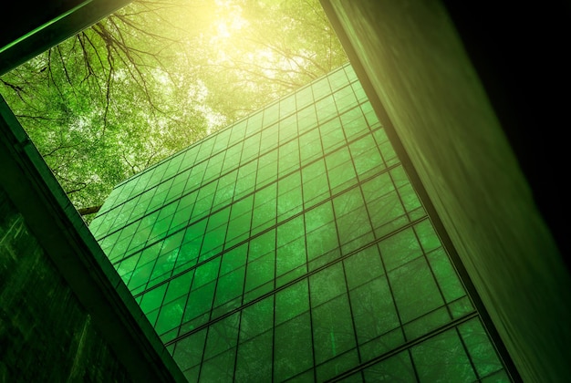 Edificio ecologico nella città moderna edificio per uffici in vetro sostenibile con albero