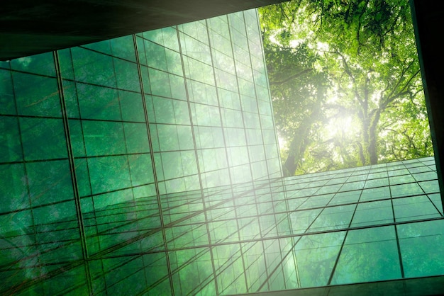 Ecofriendly building in modern city Sustainable glass office building with trees for reducing CO2