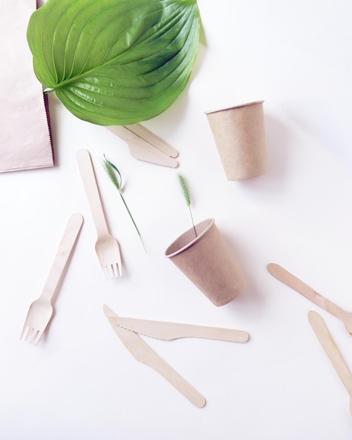 Ecofriendly disposable tableware from natural materials and green leaves