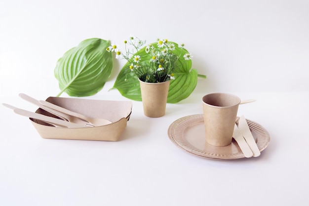 Ecofriendly disposable tableware from natural materials and green leaves