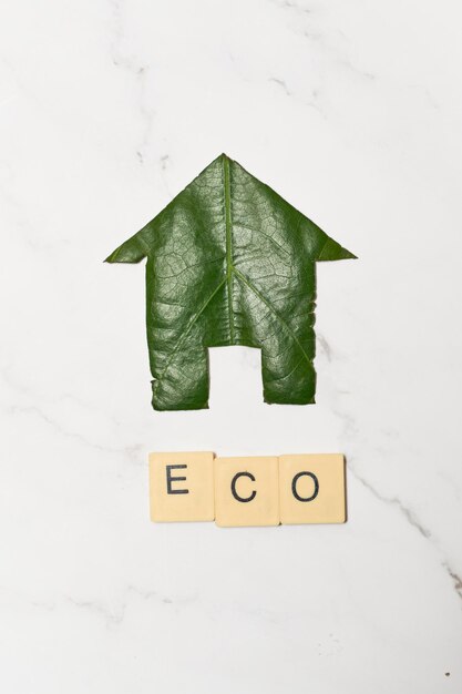 写真 持続可能で代替的な生活の ecohome アイコン コンセプト