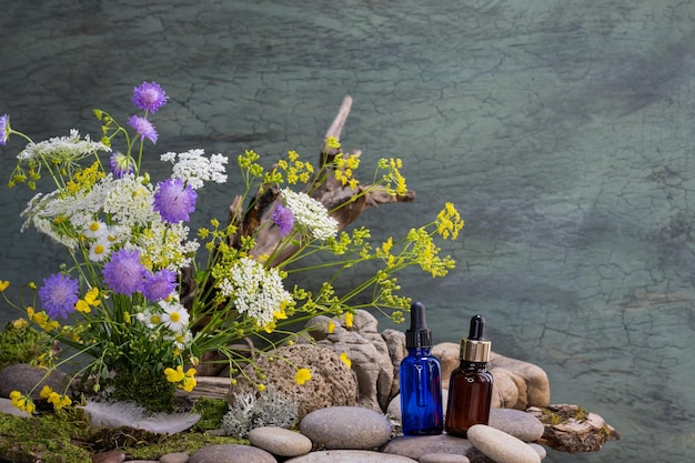 ecological bouquet blue pipette bottle brown pipette bottle pharmacological mortar wild flowers bouquet bird feather river stones still life