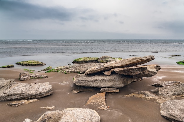 Ecological catastrophy. Drying shallow Caspian Sea