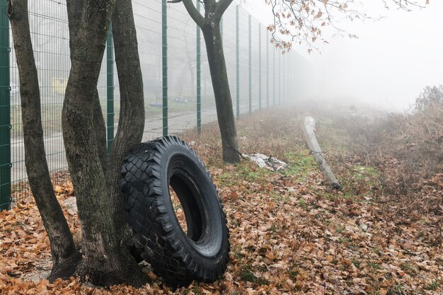 Фото Экологическая концепция. куча старых покрышек. свалка старых изношенных шин в городе в туманный осенний день