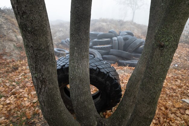 Ecological concept. Heap of old tires. Dump of old used tires in the city on a foggy autumn day