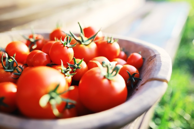 Ecological fresh farm cherry tomatoes on a wooden background