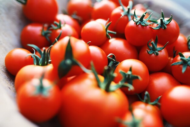 Ecological fresh farm cherry tomatoes on a wooden background