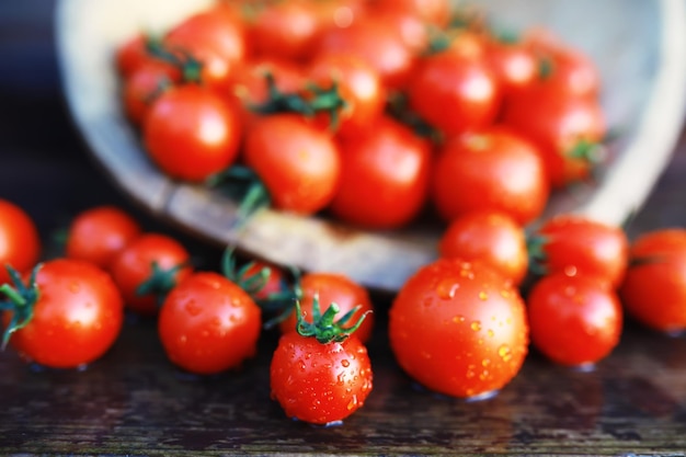 Ecological fresh farm cherry tomatoes on a wooden background